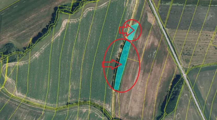 Prodej lesa, Nový Malín, 8466 m2