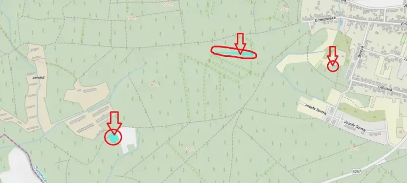Prodej lesa, Vracov, 3963 m2