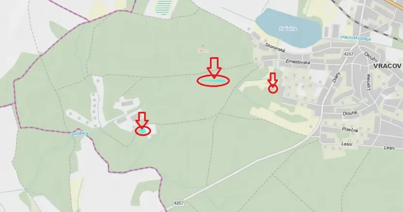 Prodej lesa, Vracov, 3963 m2