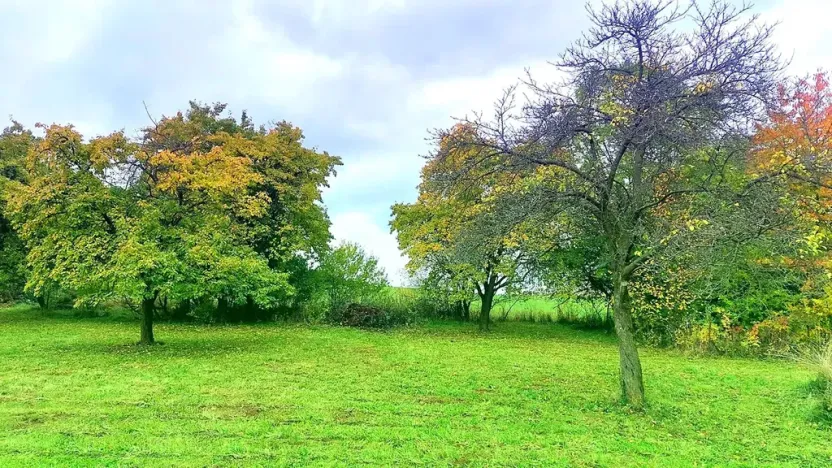 Prodej pozemku pro bydlení, Pecka, 1250 m2