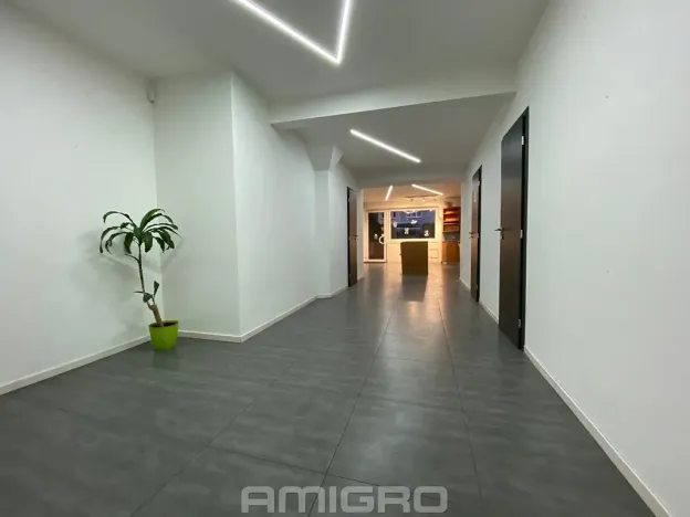 Pronájem obchodního prostoru, Brno, Merhautova, 56 m2