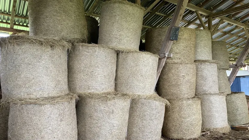 Prodej komerční, Pluhův Žďár - Jižná, 28792 m2