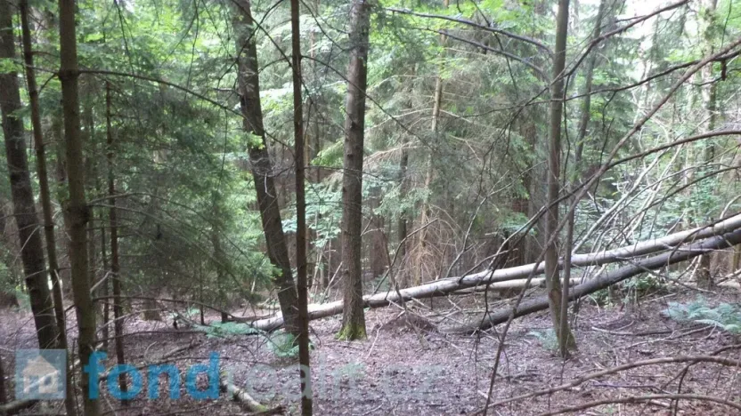 Prodej pozemku, Dolní Dobrouč, 4634 m2