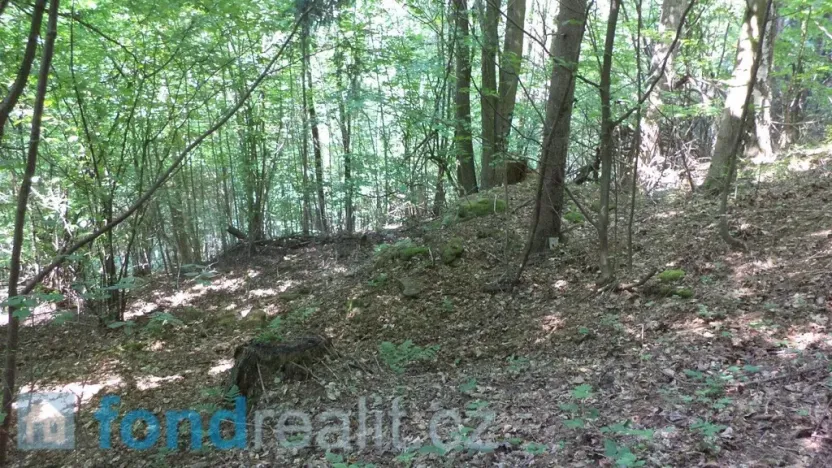 Prodej pozemku, Dolní Dobrouč, 4634 m2