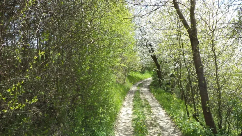 Prodej pozemku, Vítkov, 3225 m2