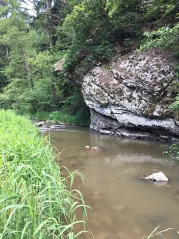 Prodej chaty, Žďárec, 65 m2