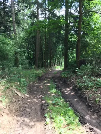 Prodej chaty, Žďárec, 65 m2