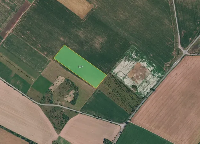 Prodej pole, Znojmo, 12769 m2