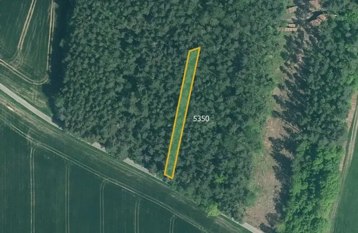 Prodej pole, Slabčice, 77267 m2