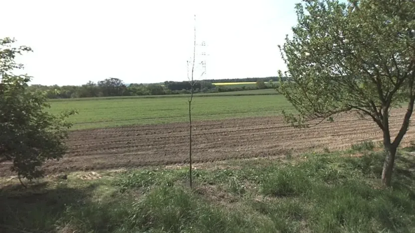 Prodej pole, Kochánky, 9970 m2