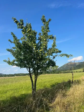 Prodej pole, Kozlovice, 100000 m2