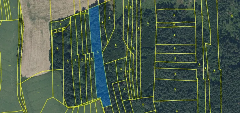 Prodej lesa, Blížejov - Lštění, 6627 m2