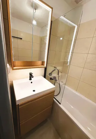 Pronájem bytu 3+1, Brno, Horní, 68 m2