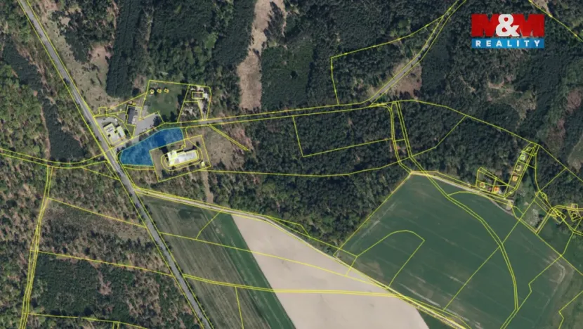 Prodej lesa, Býšť, 3807 m2