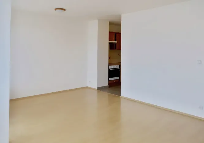 Pronájem bytu 1+kk, Brno, Dusíkova, 41 m2