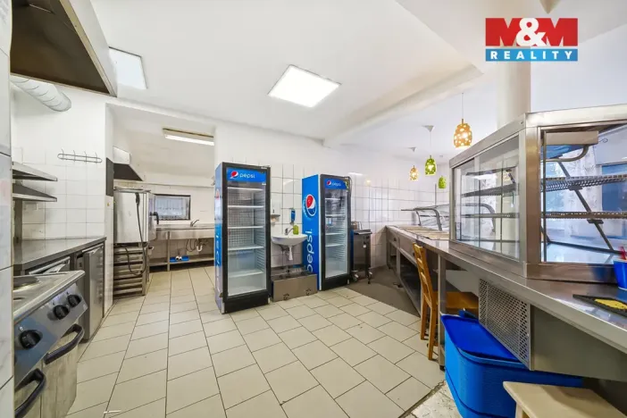 Prodej ubytování, Čenkovice, 297 m2