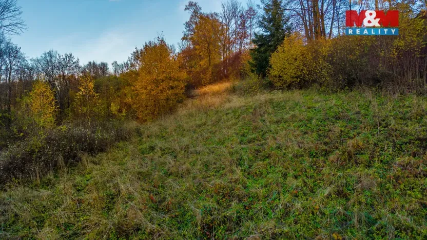 Prodej louky, Bílá - Hradčany, 6046 m2