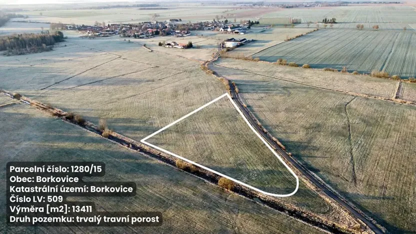 Prodej pole, Borkovice, 37657 m2