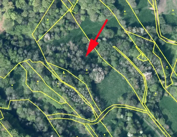 Prodej louky, Děčín, 13017 m2