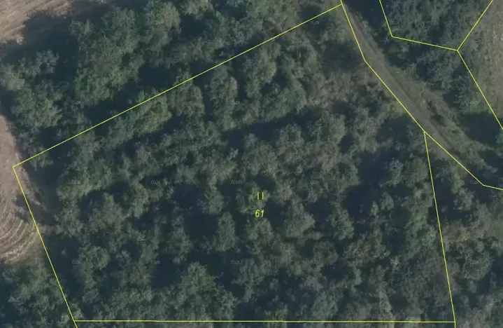 Prodej lesa, Mašťov, 4840 m2