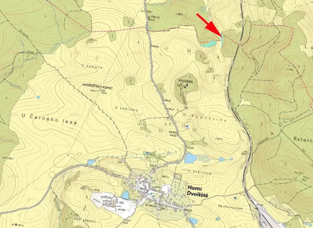 Prodej lesa, Horní Dvořiště, 1471 m2