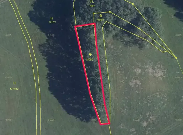 Prodej lesa, Dubnice, 815 m2