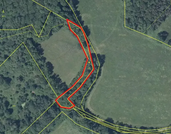 Prodej louky, Kozly, 1518 m2