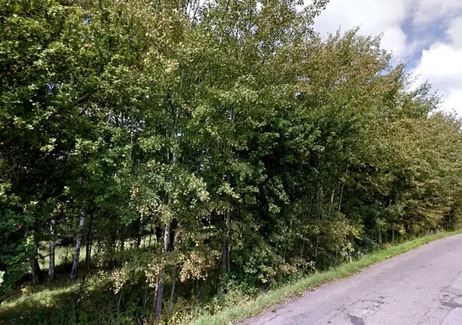 Prodej lesa, Dubnice, 1692 m2
