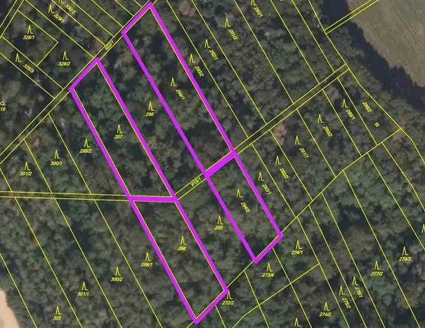 Prodej lesa, Držovice, 4332 m2