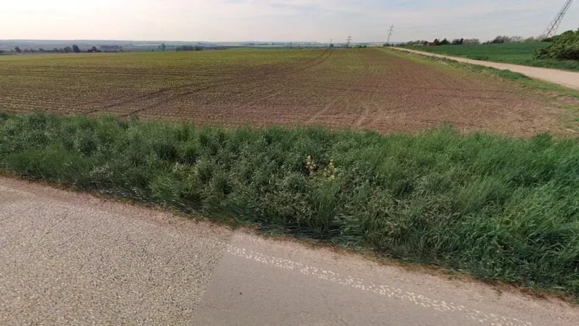 Prodej pole, Dobrovice, 4752 m2