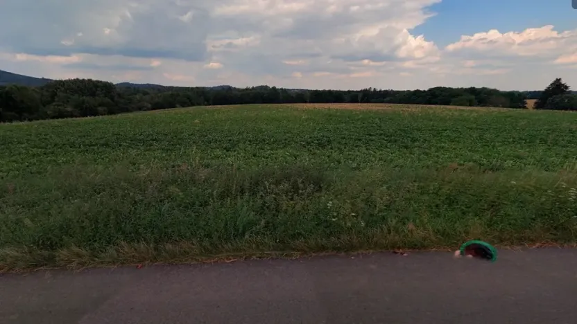 Prodej pole, Mšeno, 9988 m2