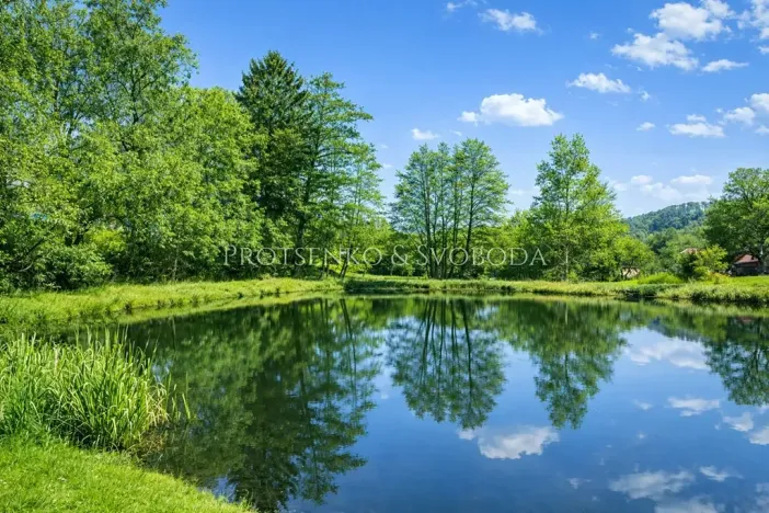 Prodej chalupy, Ždírec nad Doubravou, 145 m2