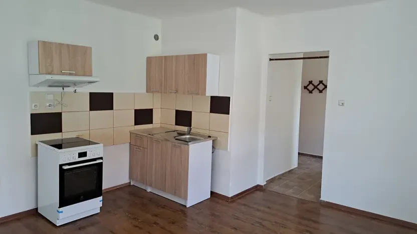 Pronájem bytu 1+1, Teplice, Československých legií, 52 m2
