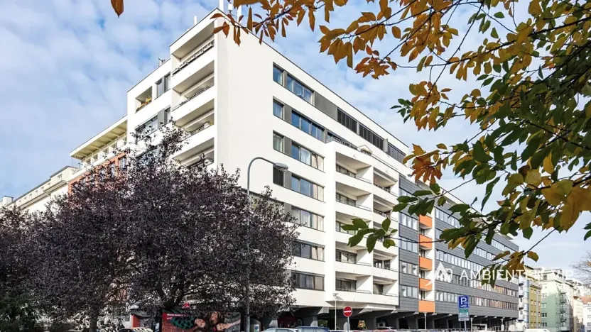 Pronájem bytu 1+kk, Brno, Mezírka, 42 m2