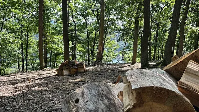 Prodej chaty, Štěchovice, 150 m2