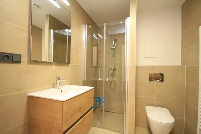 Prodej bytu 1+kk, Plzeň, Pilařská, 37 m2