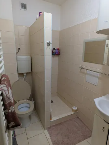 Pronájem bytu 1+1, Opava, Těšínská, 50 m2