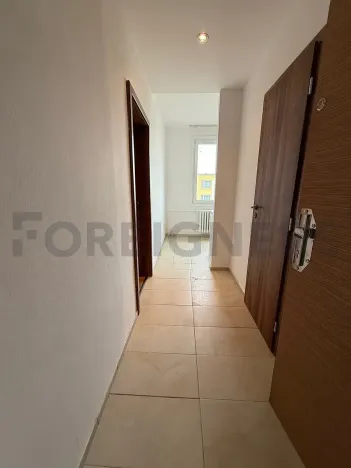 Pronájem bytu 1+1, Hradec Králové, Formánkova, 35 m2