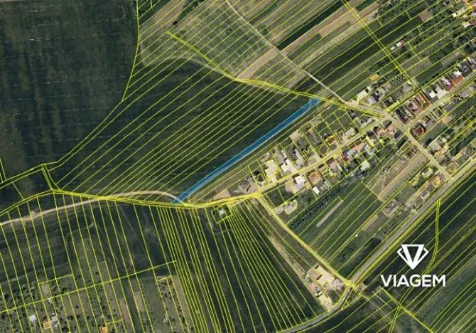 Prodej pole, Mistřice, 2445 m2