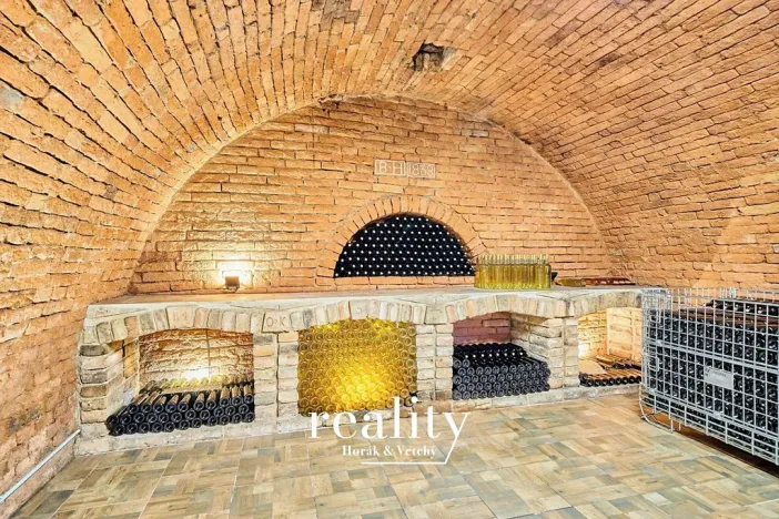 Prodej chalupy, Mikulov, 190 m2