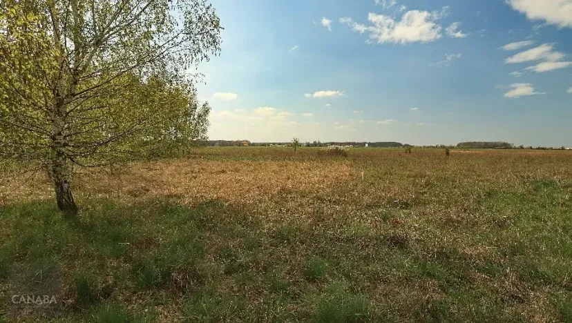 Prodej rodinného domu, Poděbrady, 132 m2