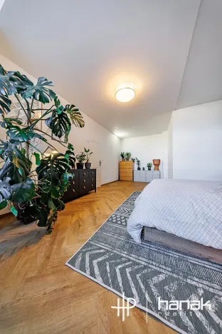 Pronájem bytu 2+kk, Olomouc, Masarykova třída, 58 m2