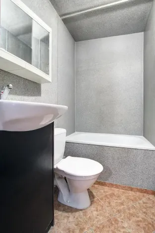 Pronájem bytu 1+1, Praha - Chodov, Brodského, 30 m2