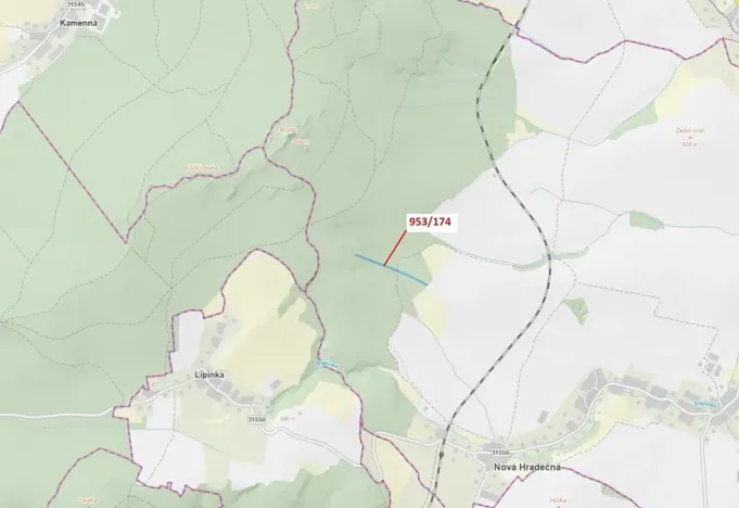 Dražba lesa, Nová Hradečná, 6275 m2