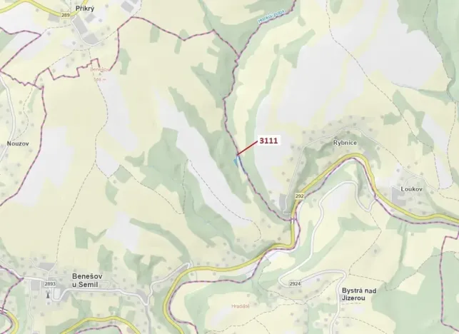 Dražba lesa, Benešov u Semil, 2958 m2