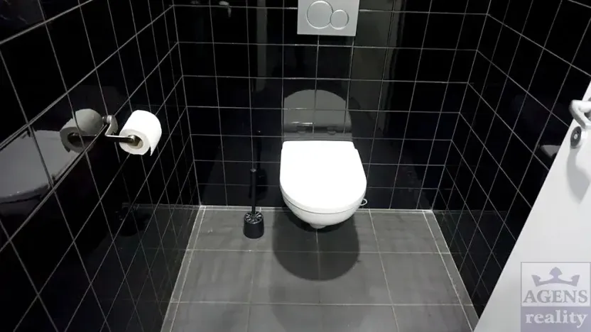 Pronájem obchodního prostoru, Praha - Holešovice, Dobrovského, 362 m2