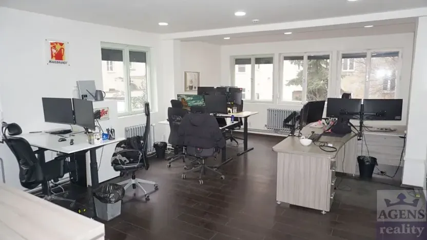 Pronájem obchodního prostoru, Praha - Holešovice, Dobrovského, 362 m2