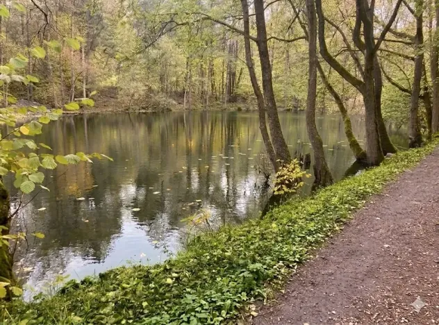 Prodej rybníku, Votice, 2482 m2