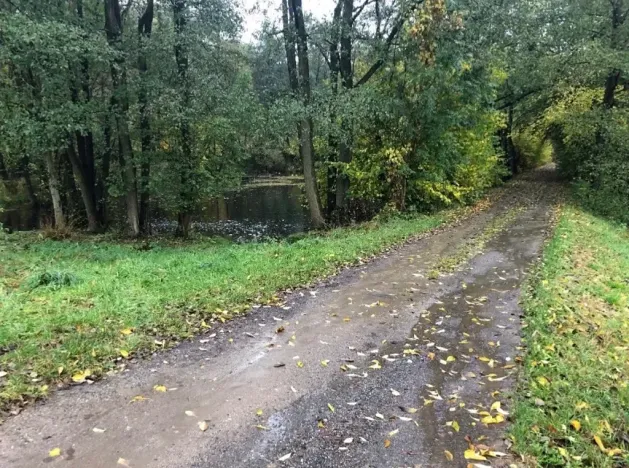 Prodej rybníku, Votice, 2482 m2