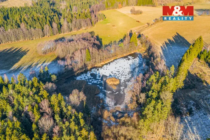 Prodej rybníku, Horní Ves, 21990 m2